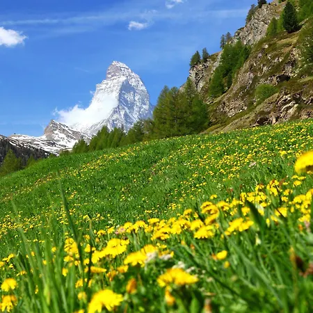 Lägenhet Verte-rive By Interhome Zermatt